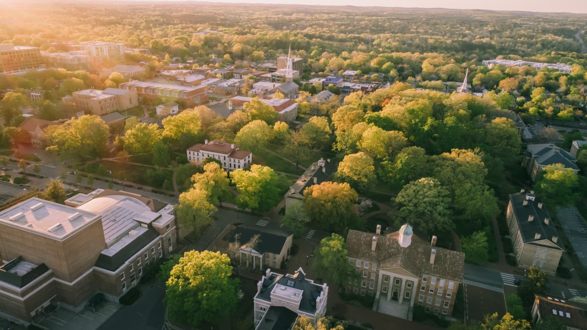 Card Thumbnail - Affirmative Action Statistics in College Admissions